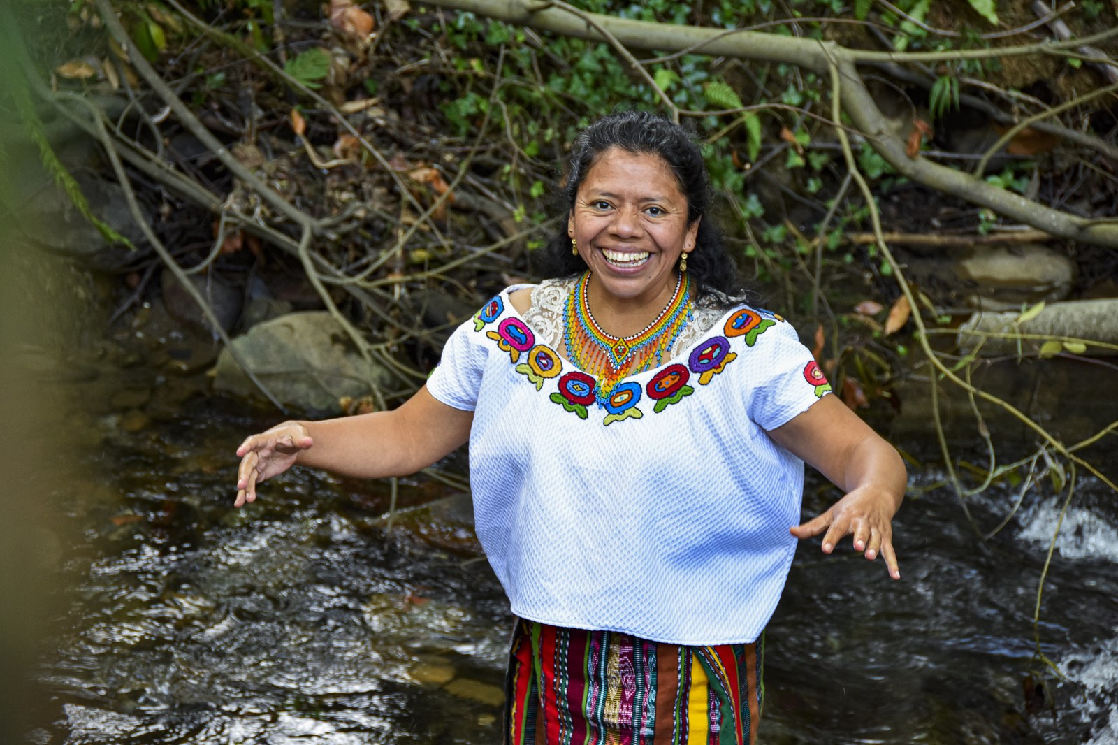 Borrokaren hazia Borrokaren hazia