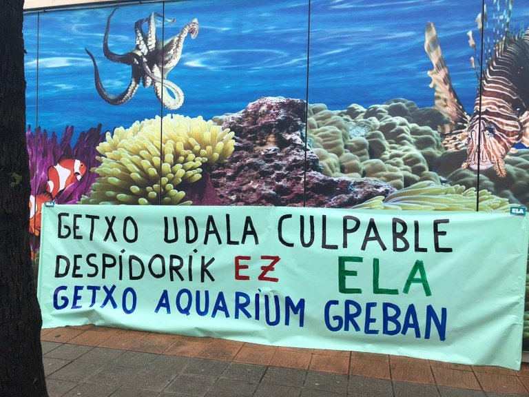 El Ayuntamiento de Getxo pretende despedir a la plantilla del Akuario