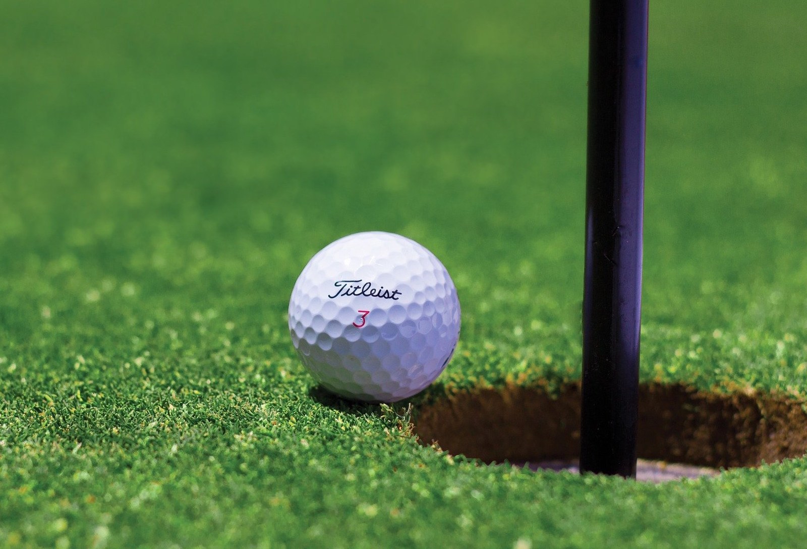 23, 24 y 25 de febrero, huelga contra los despidos y coacciones de Meatza Golf La Arboleda