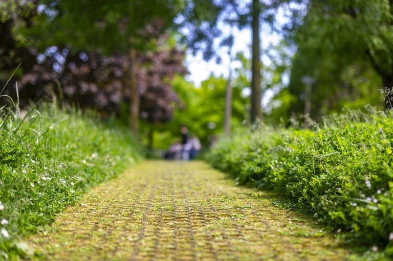 La plantilla de jardinería de ELA de Enviser, a favor de la propuesta del Gobierno Vasco