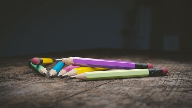 ELA acusa al Gobierno de Navarra de renunciar a sus competencias educativas y acatar los criterios del estado