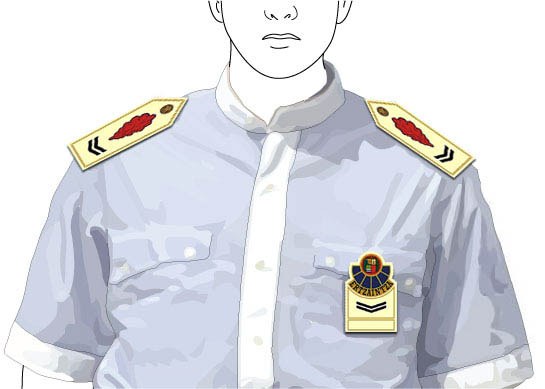 Comisario o Comisaria 2012