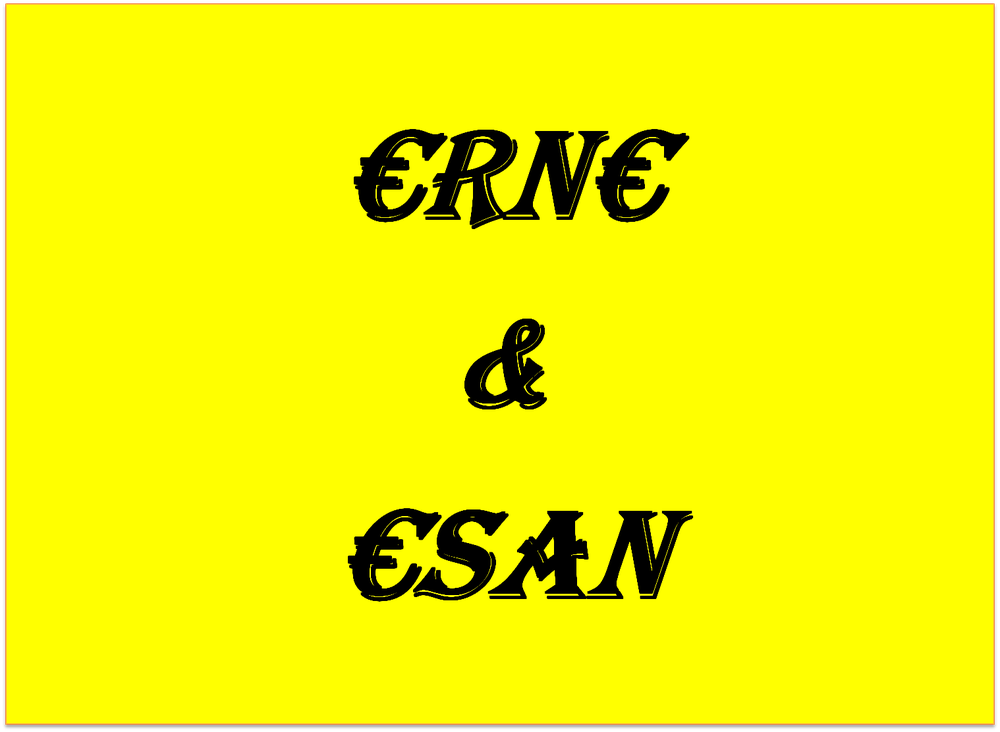 Fondo Social: Autofinanciación de ErNE y ESAN
