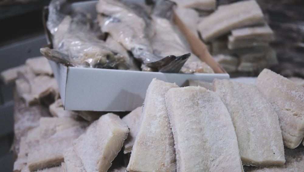 Huelga indefinida a partir del 9 de diciembre