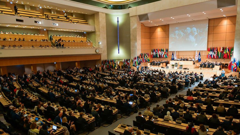 ELA participa en la 108ª Conferencia Internacional del Trabajo de la OIT