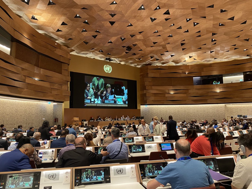 ELA participa en la 110ª Conferencia Internacional del Trabajo de la OIT