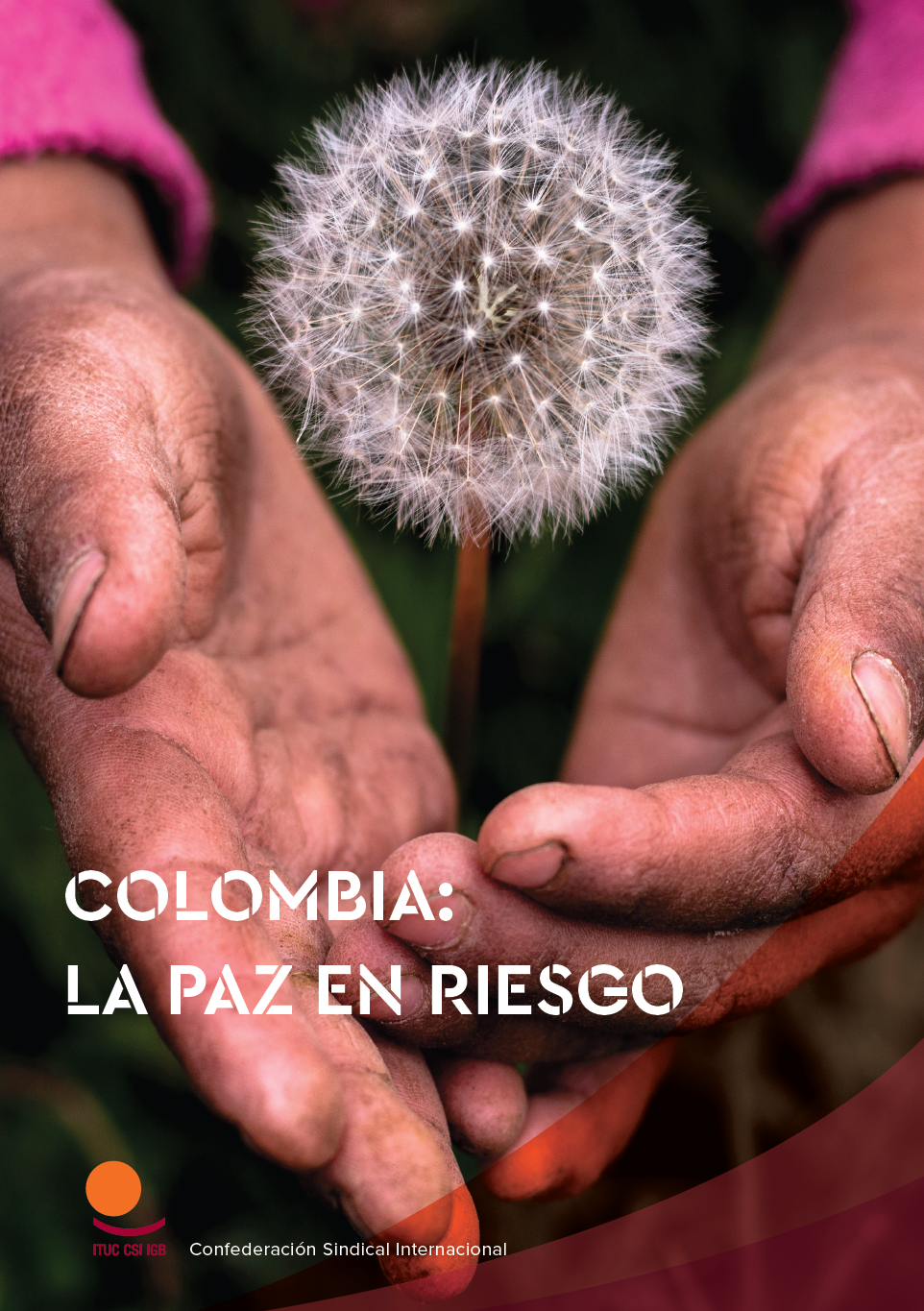 Informe: “Colombia: la Paz en Riesgo” Informe: “Colombia: la Paz en Riesgo”