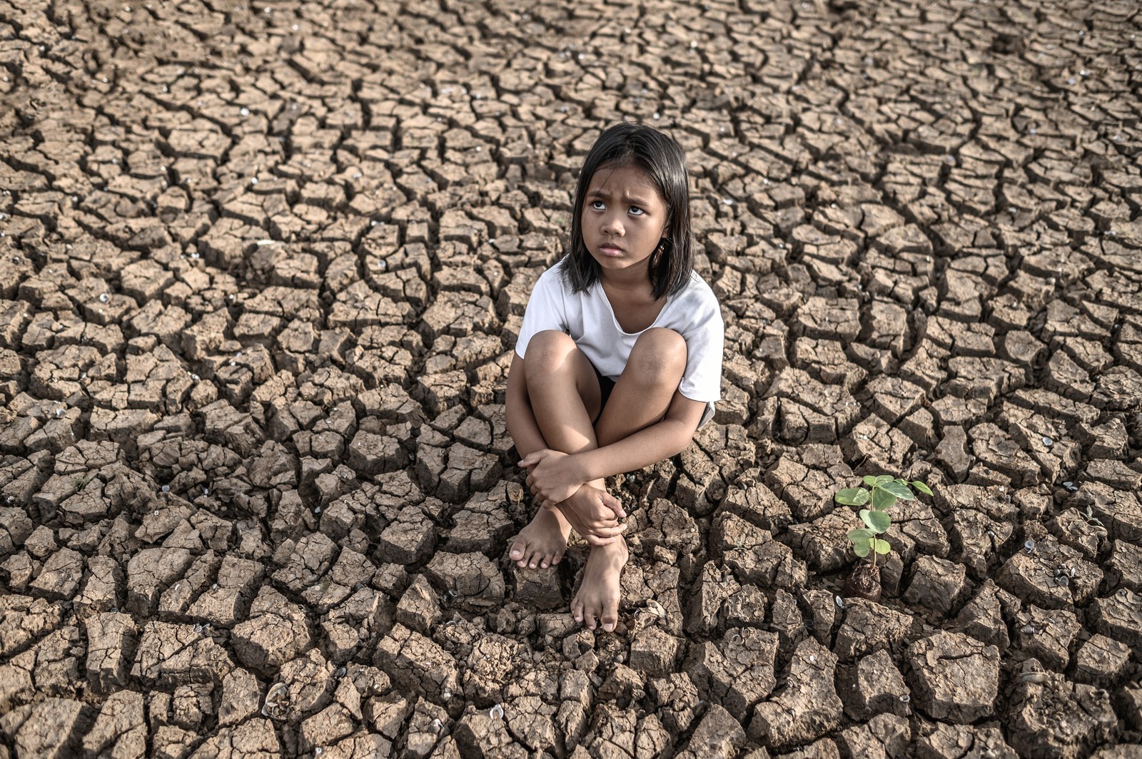 El cambio climático afecta más a las mujeres a pesar de que contribuyen menos a provocarlo El cambio climático afecta más a las mujeres a pesar de que contribuyen menos a provocarlo