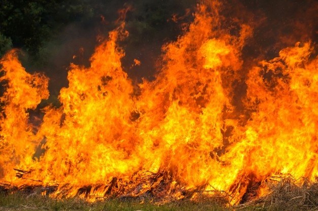 Los incendios de Australia son un problema global