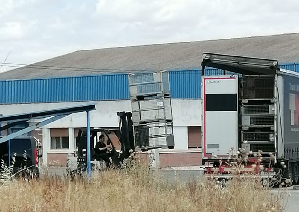 ELA denuncia en Inspección el intento de vaciar la planta de Silenciosos Falces en pleno concurso