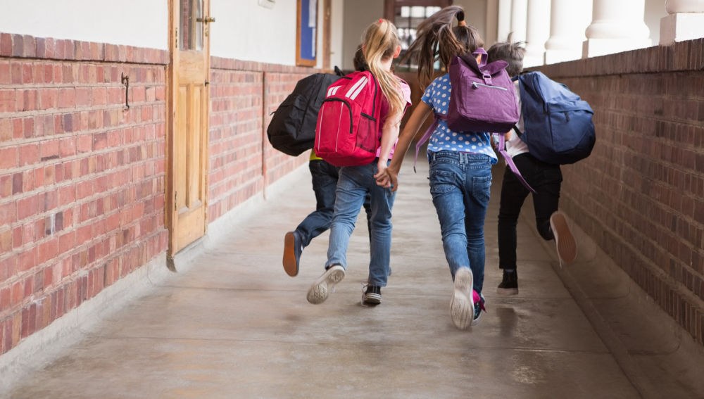 El Gobierno Vasco no realiza sustituciones en Educación y suspende los contratos de un gran número de personal sustituto en plena situación de excepcionalidad