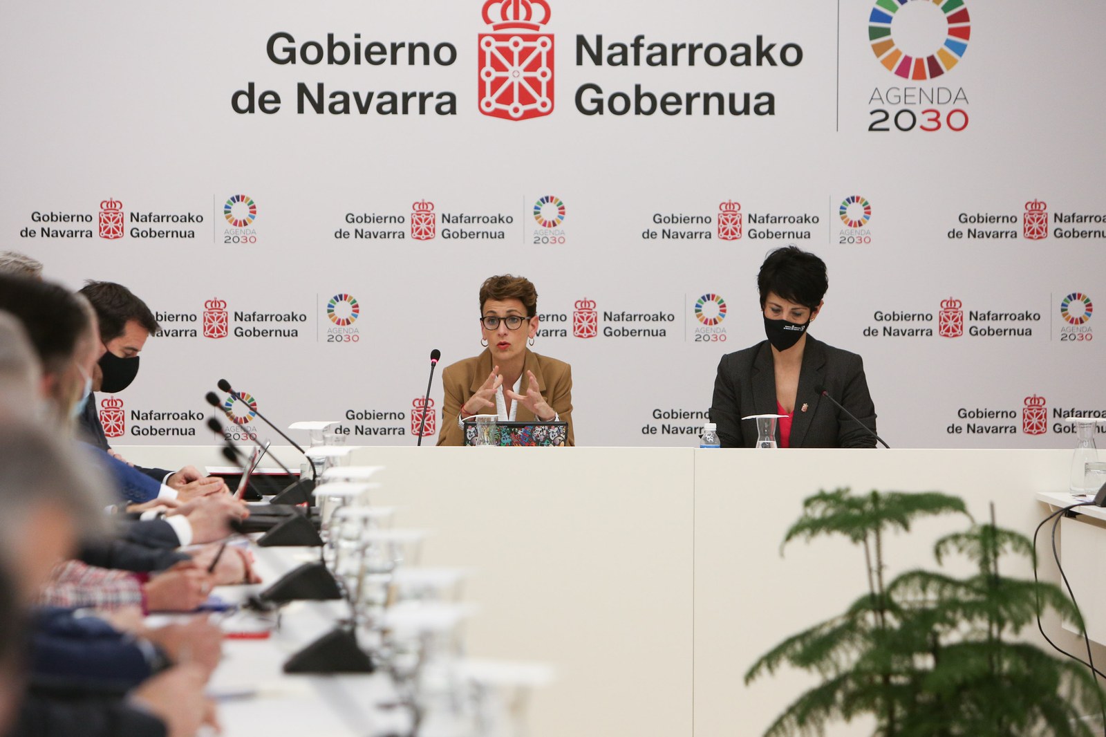 ELA critica en el CES que el presupuesto de Navarra pierde peso porque crece mucho menos que el IPC y el PIB