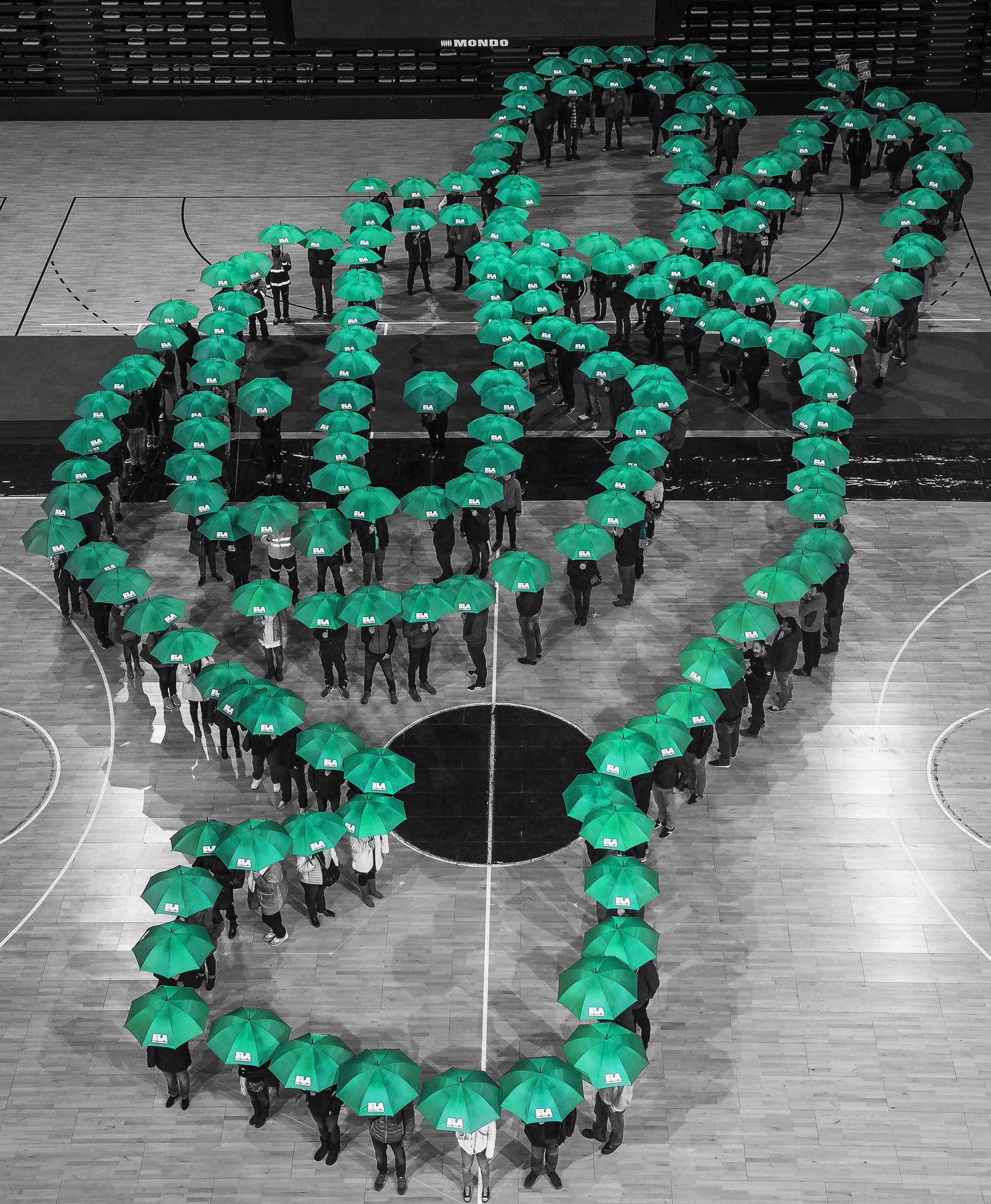 ¡Nos vamos de celebración!