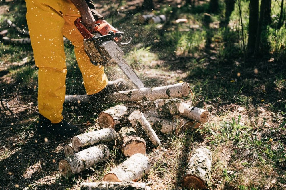 Nuevo accidente laboral mortal de un trabajador forestal en Muxika