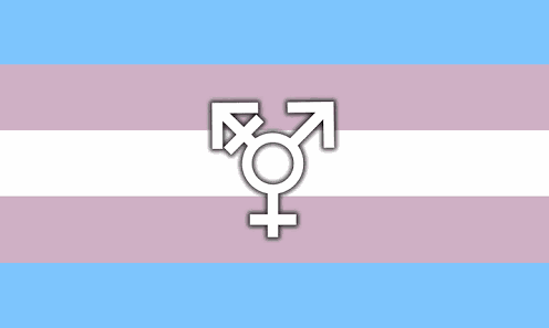 ¿Qué puede hacer una persona delegada de ELA por el colectivo trans? ¿Qué puede hacer una persona delegada de ELA por el colectivo trans?