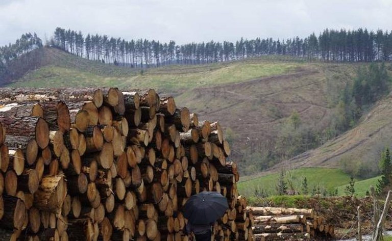 Muere el trabajador que sufrió un fuerte golpe realizando trabajos forestales en Arcentales