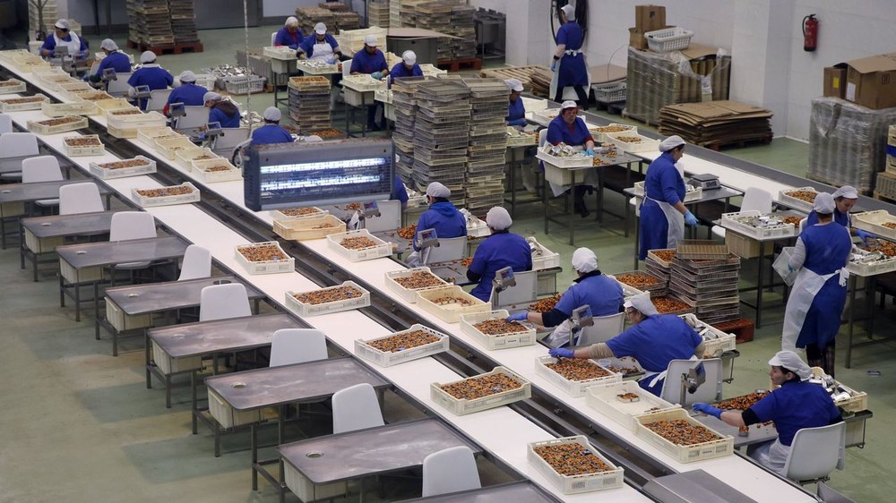 LABek, CCOOk eta UGTk sektorea desmobilizatuko duen aurreakordio eskasa sinatu dute Bizkaiko kontserbetan