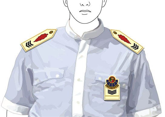 Intendente kategorian sartzeko hautaketa prozedura