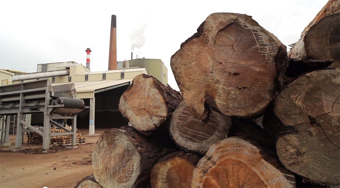 ELAk Zuraren Industriaren hitzarmena berritu du, KPIren igoerarekin eta erreformaren aurkako blindajeekin